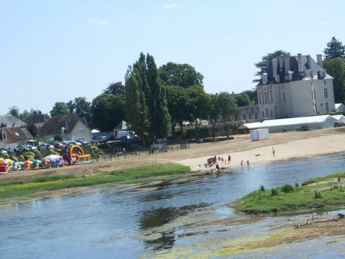Jolie Maison Ancienne Renovee Pres Du Zoo Beauval Tout Confort Selles-sur-Cher Exteriér fotografie